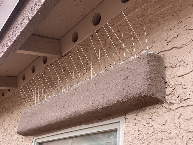 spikes on ledge over window