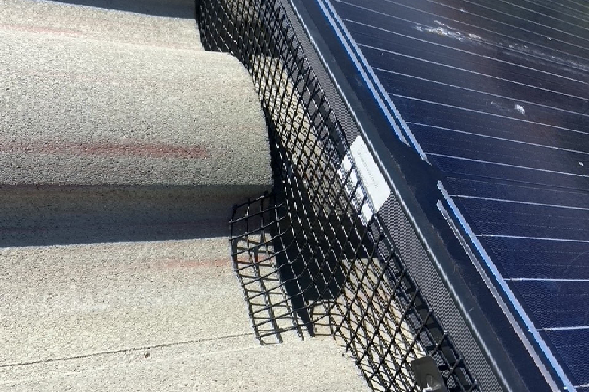 spikes on ledge over window